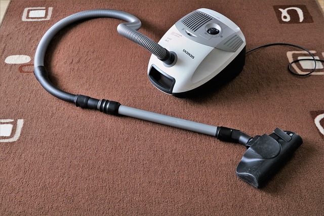 Eco-Friendly Carpet Cleaning