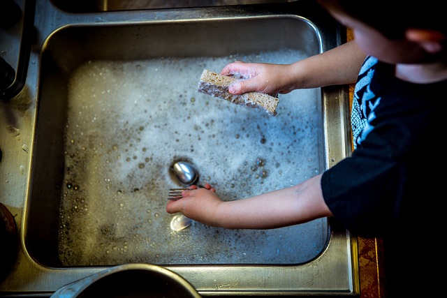 Eco-Friendly Dishwashing