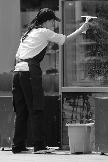 Cleaning and Maintaining Your Home's Vinyl Windows