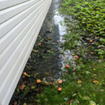 How to Repair Water-Damaged Landscaping