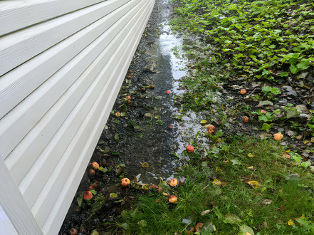 How to Repair Water-Damaged Landscaping