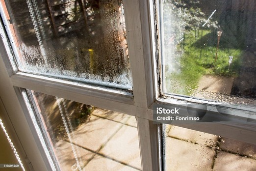 How to Repair Water-Damaged Windows and Doors 