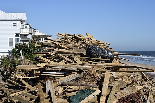 Repairing Water-Damaged Wood