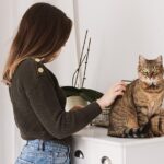 Cleaning and Organizing Your Pet's Grooming Supplies