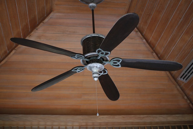 Cleaning and Maintaining Your Ceiling Fans