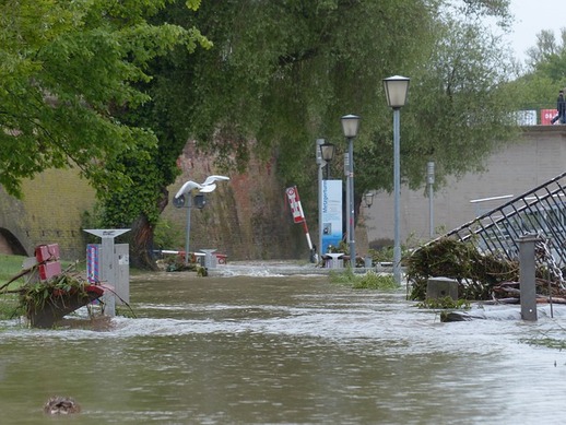 How to Assess Water Damage