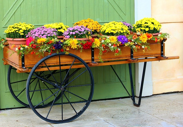 Clean and Revitalize Your Home's Outdoor Planters