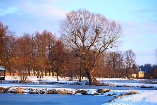 Prevent Water Damage from Ice Dams