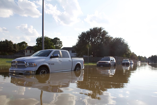 Restoring Water-Damaged Vintage Cars