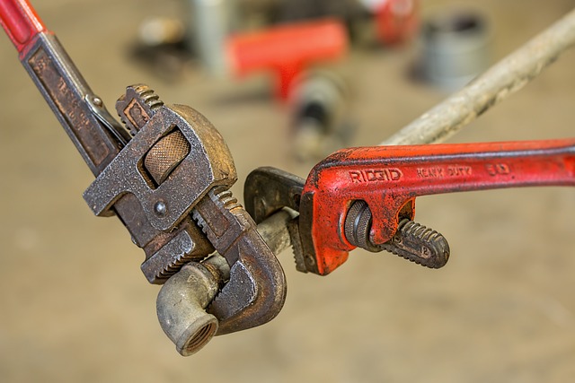 handle water damage during a construction project